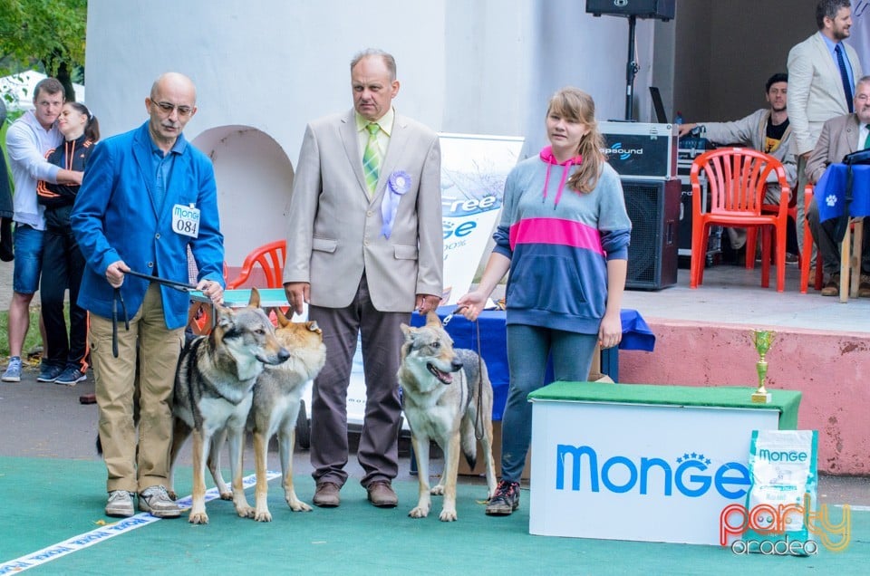 Expoziţie canină, Oradea