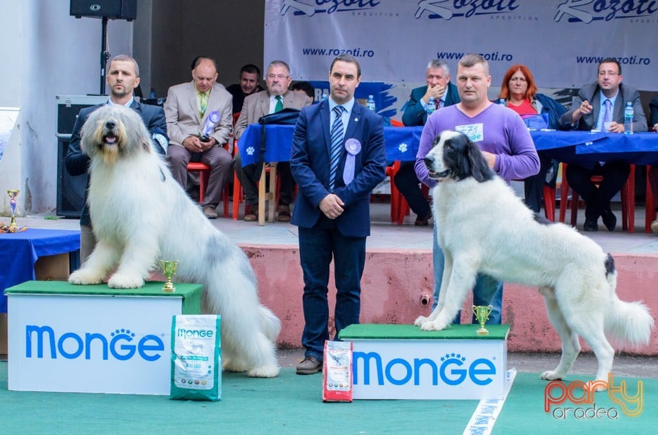 Expoziţie canină, Oradea