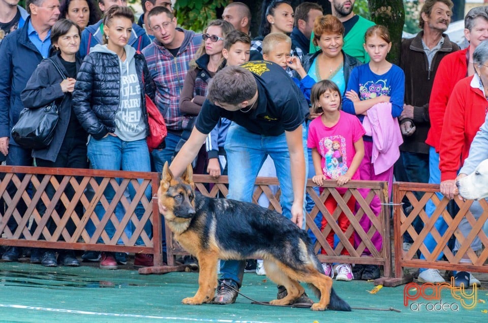 Expoziţie canină, Oradea