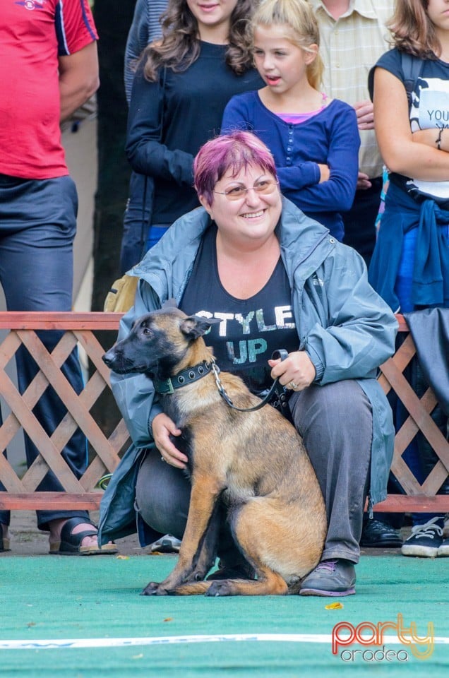 Expoziţie canină, Oradea