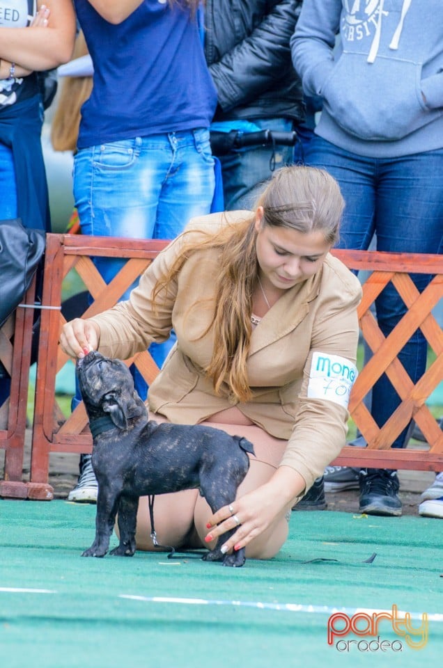 Expoziţie canină, Oradea