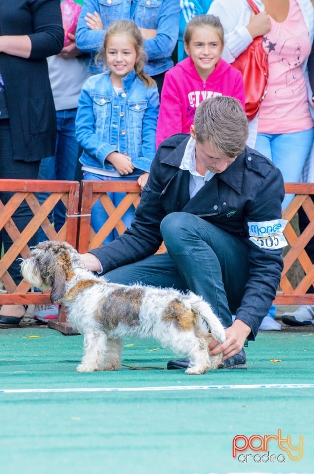 Expoziţie canină, Oradea