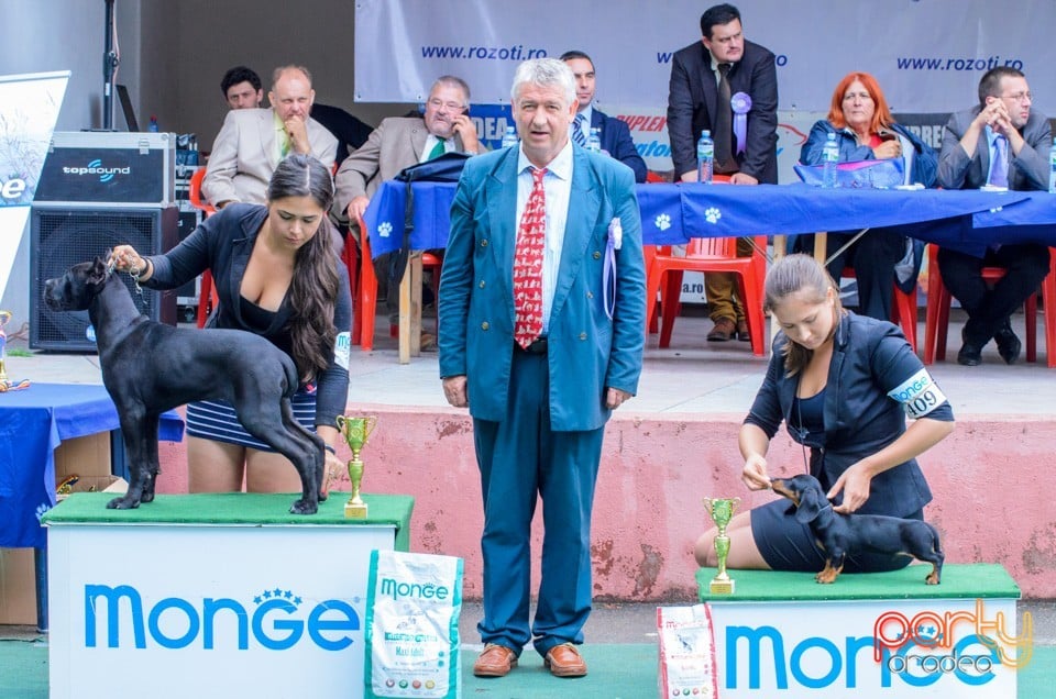 Expoziţie canină, Oradea
