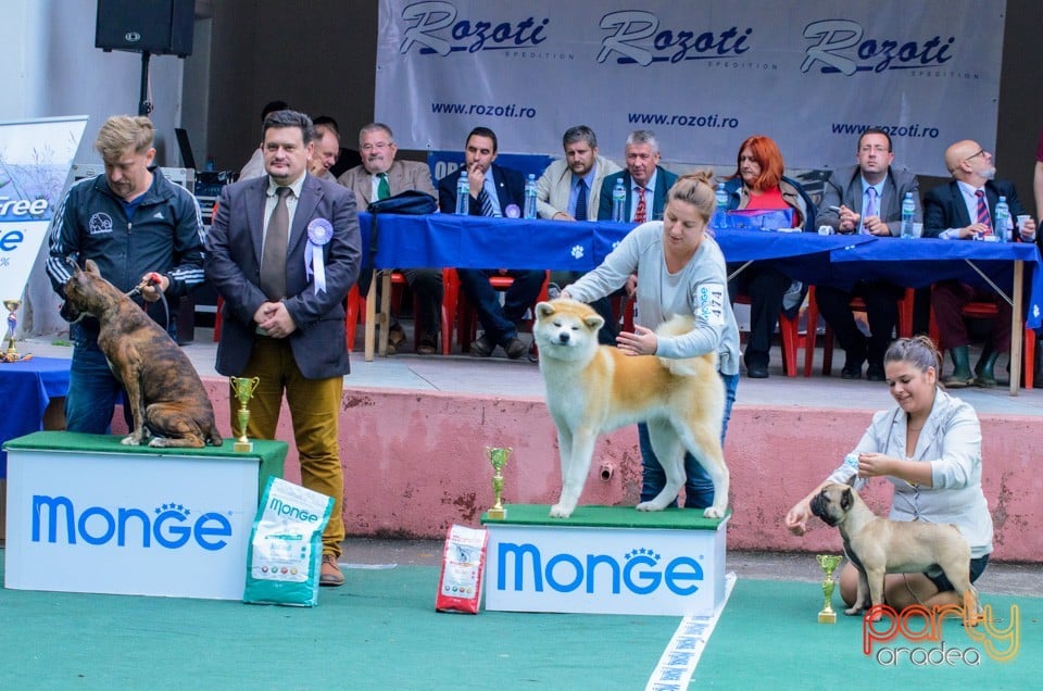 Expoziţie canină, Oradea