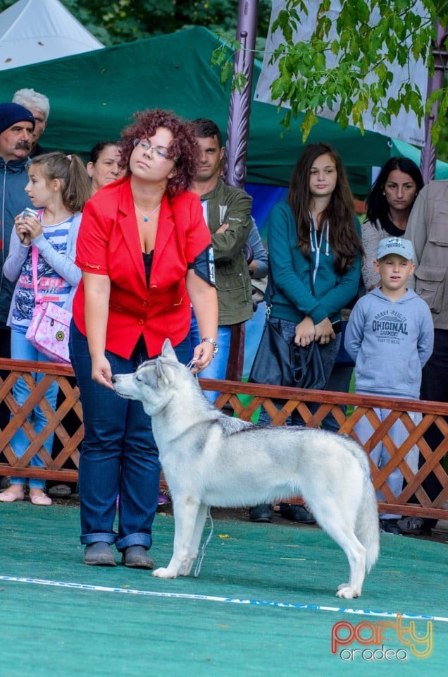 Expoziţie canină, Oradea