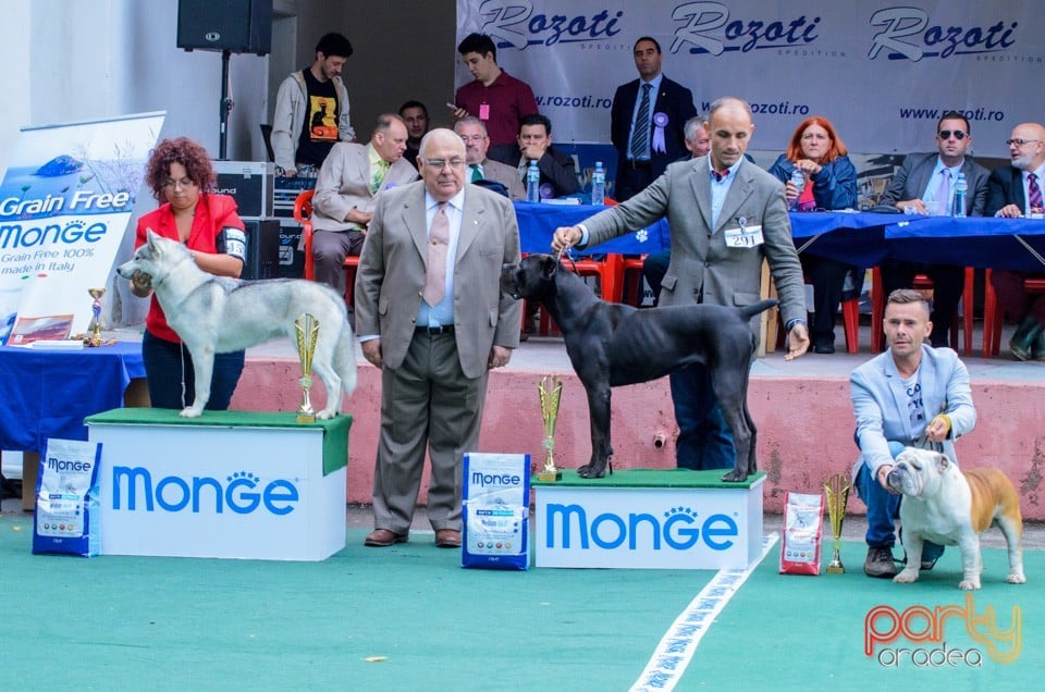 Expoziţie canină, Oradea
