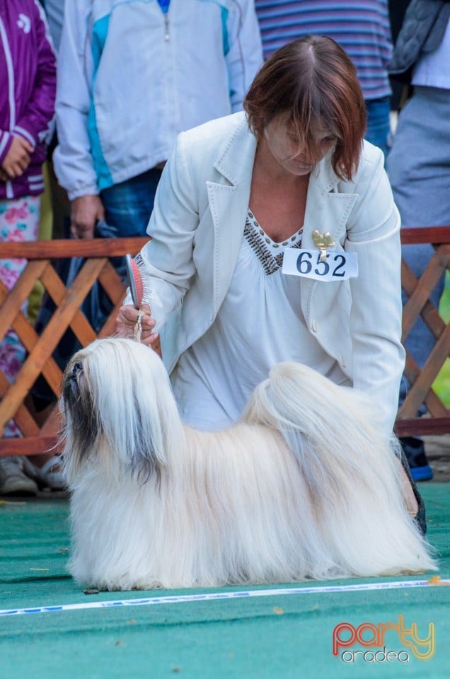 Expoziţie canină, Oradea