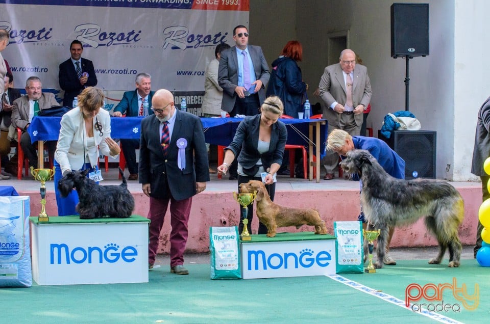 Expoziţie canină, Oradea