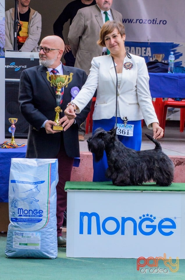 Expoziţie canină, Oradea
