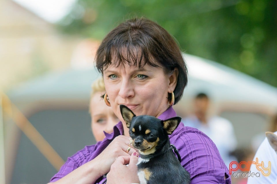 Expoziţie canină, Oradea