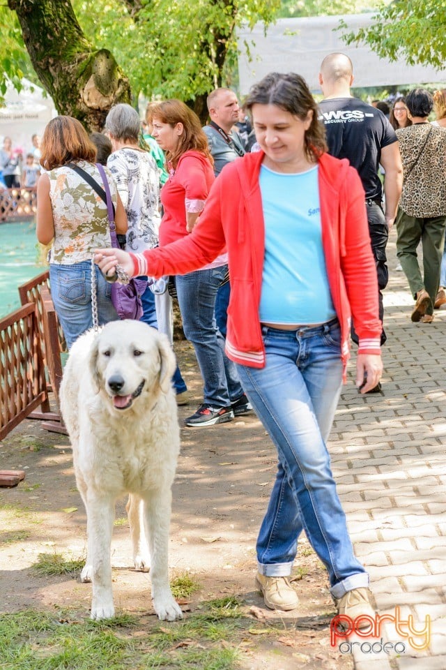 Expoziţie canină, Oradea