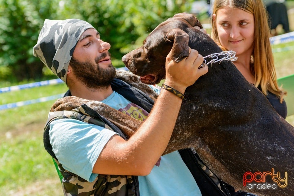 Expoziţie canină, Oradea