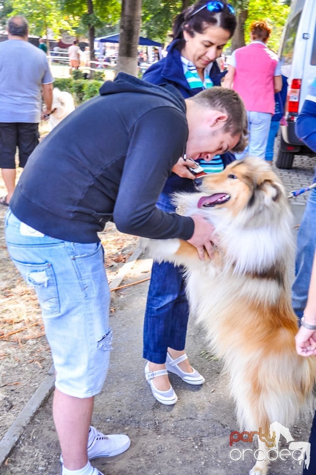 Expozitie canina, Oradea