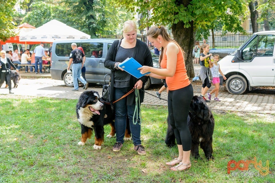 Expoziţie canină, Oradea