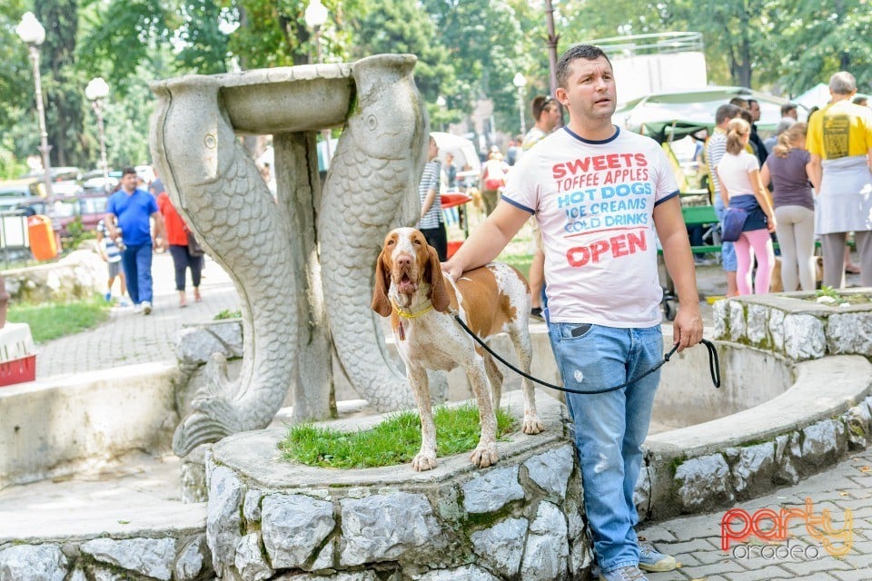 Expoziţie canină, Oradea