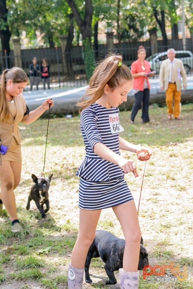 Expoziţie canină, Oradea