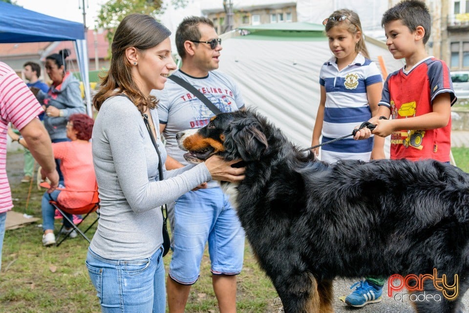 Expoziţie canină, Oradea