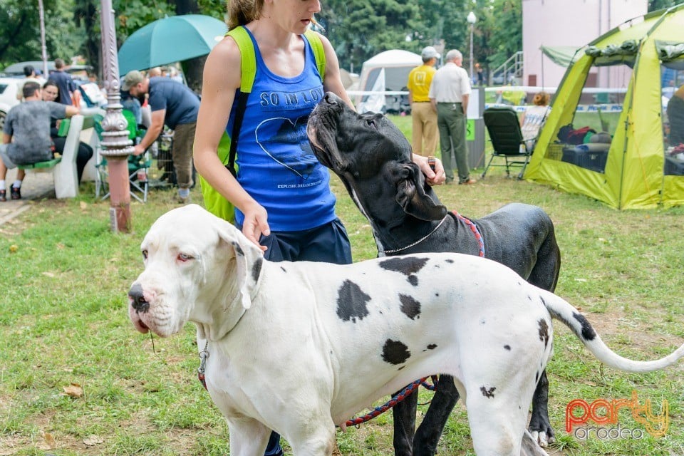 Expoziţie canină, Oradea