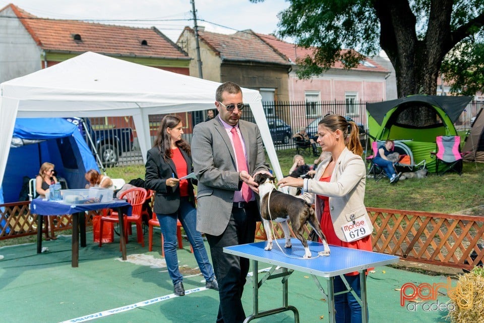 Expoziţie canină, Oradea