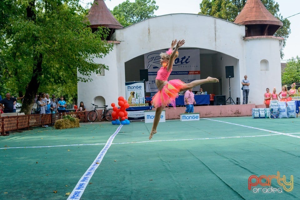 Expoziţie canină, Oradea