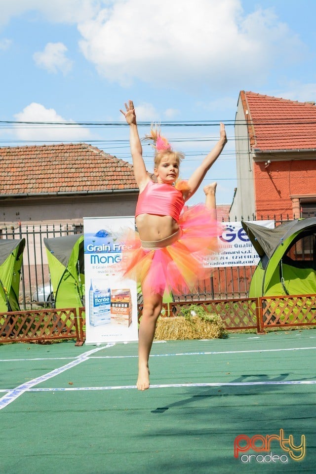 Expoziţie canină, Oradea