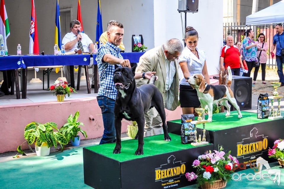 Expozitie canina, Oradea