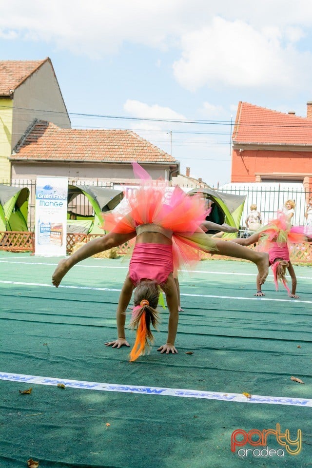 Expoziţie canină, Oradea