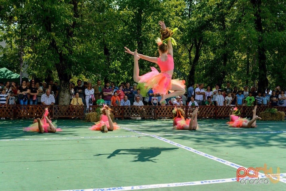 Expoziţie canină, Oradea