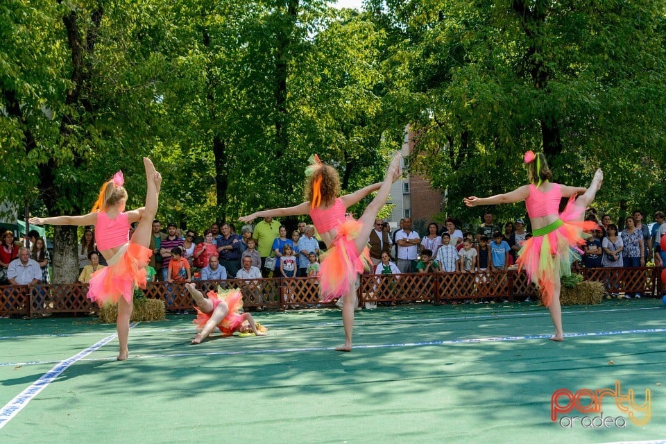 Expoziţie canină, Oradea