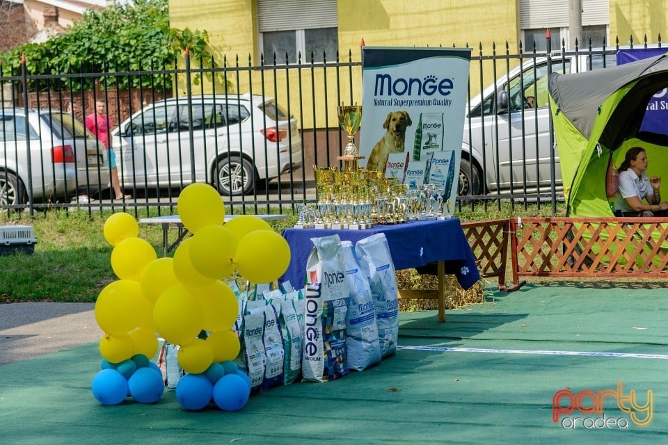 Expoziţie canină, Oradea