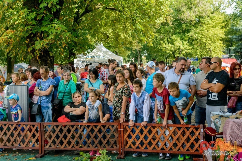 Expoziţie canină, Oradea