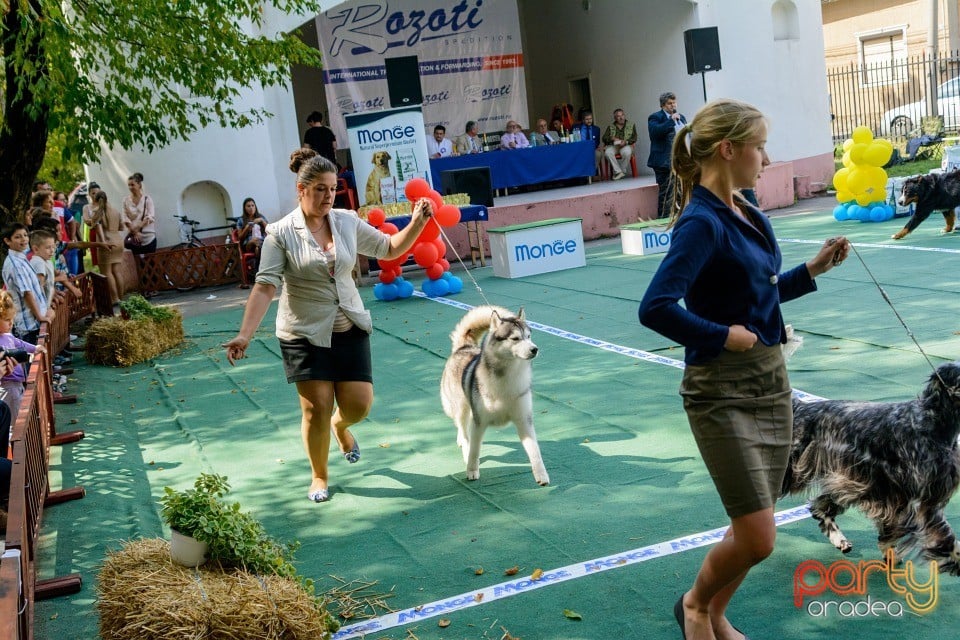 Expoziţie canină, Oradea