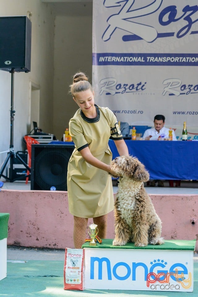 Expoziţie canină, Oradea