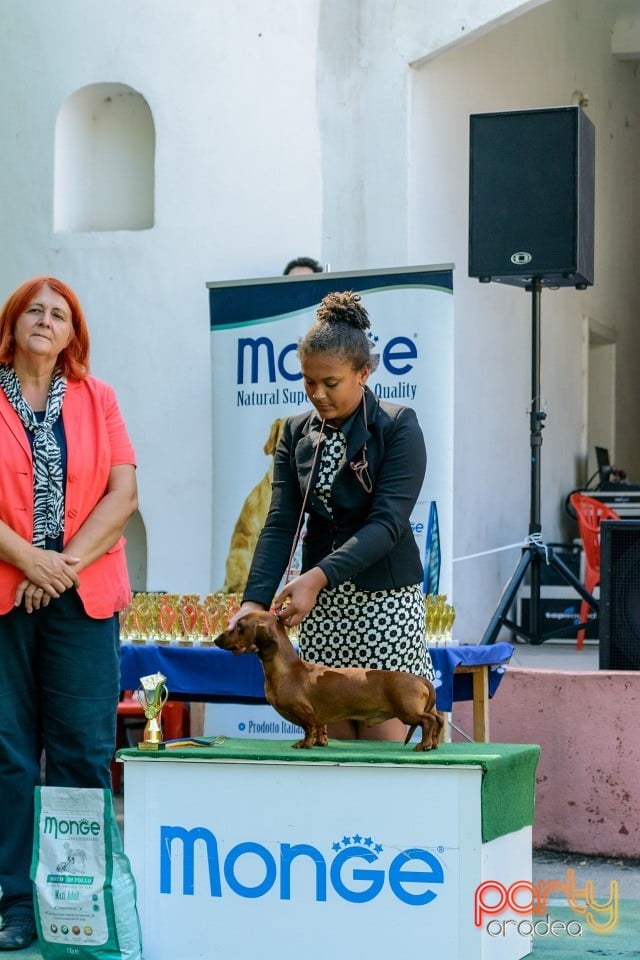 Expoziţie canină, Oradea