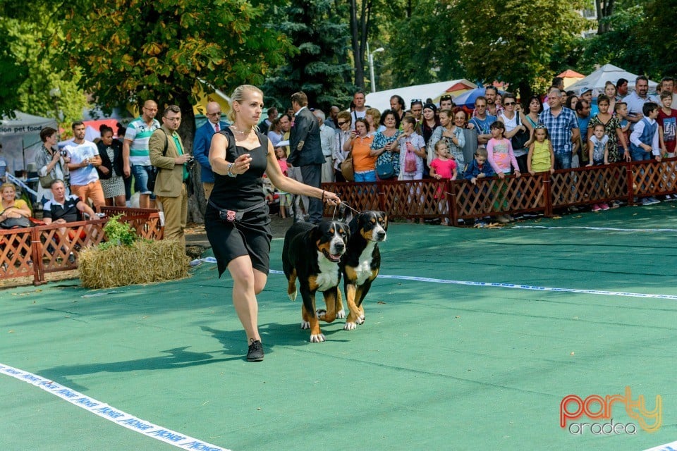 Expoziţie canină, Oradea