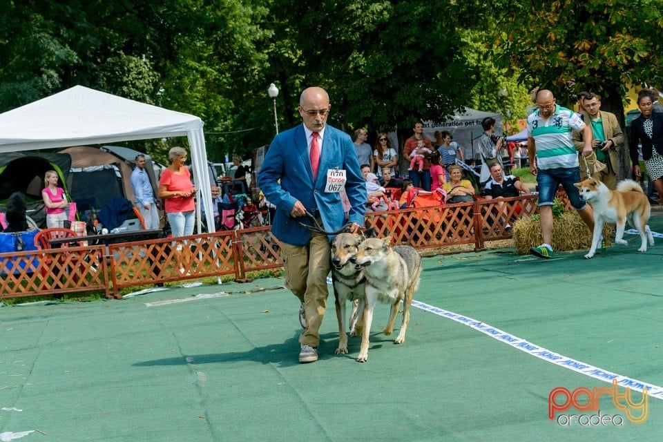 Expoziţie canină, Oradea