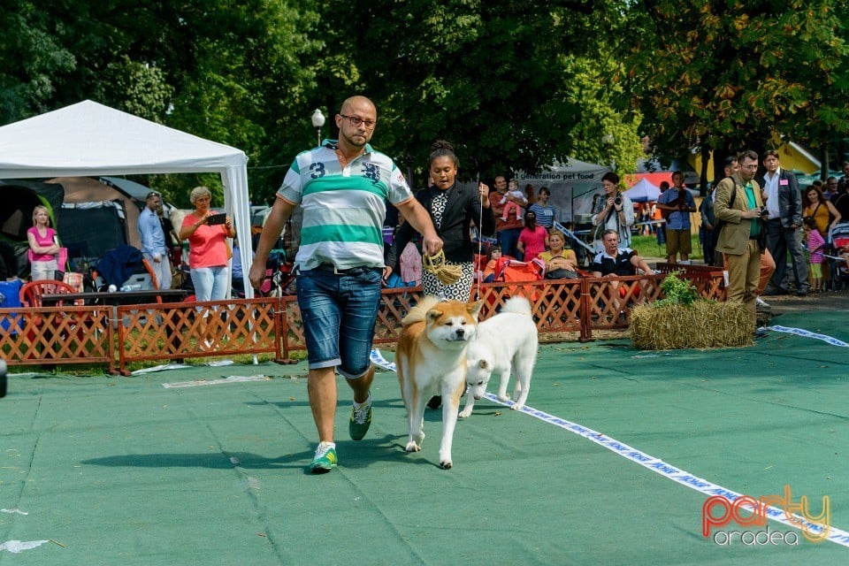 Expoziţie canină, Oradea