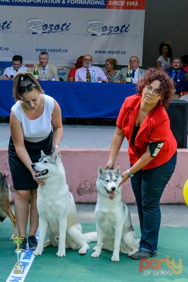 Expoziţie canină, Oradea