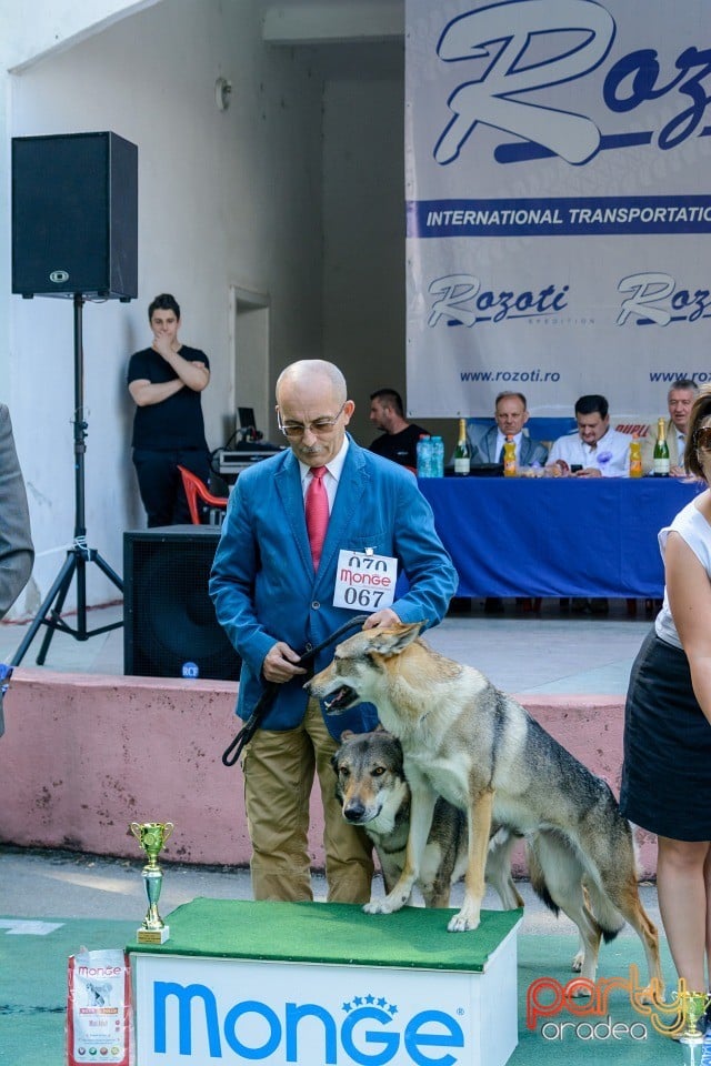 Expoziţie canină, Oradea