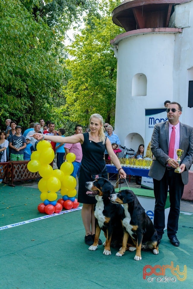 Expoziţie canină, Oradea