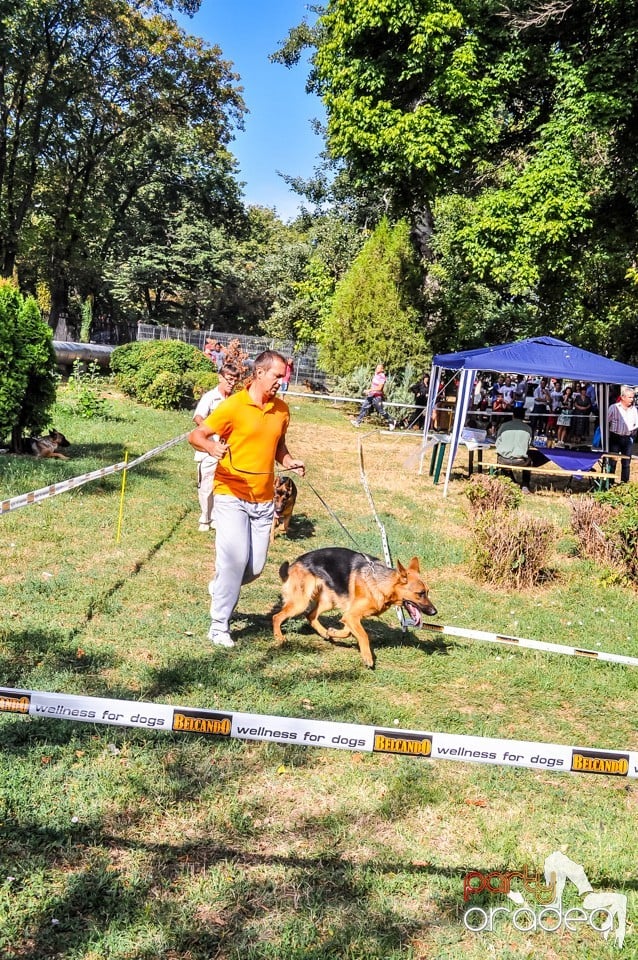 Expozitie canina, Oradea