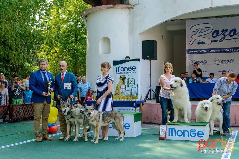 Expoziţie canină, Oradea