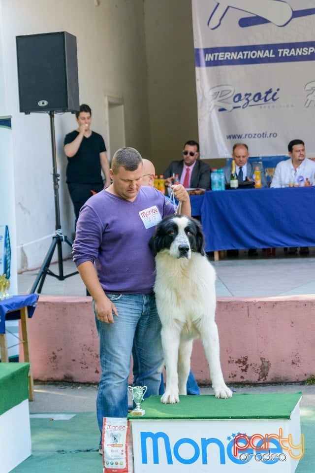 Expoziţie canină, Oradea