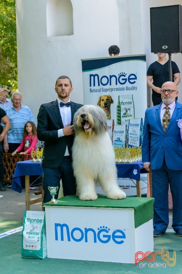 Expoziţie canină, Oradea