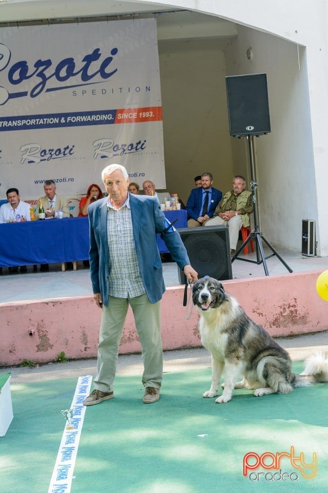 Expoziţie canină, Oradea