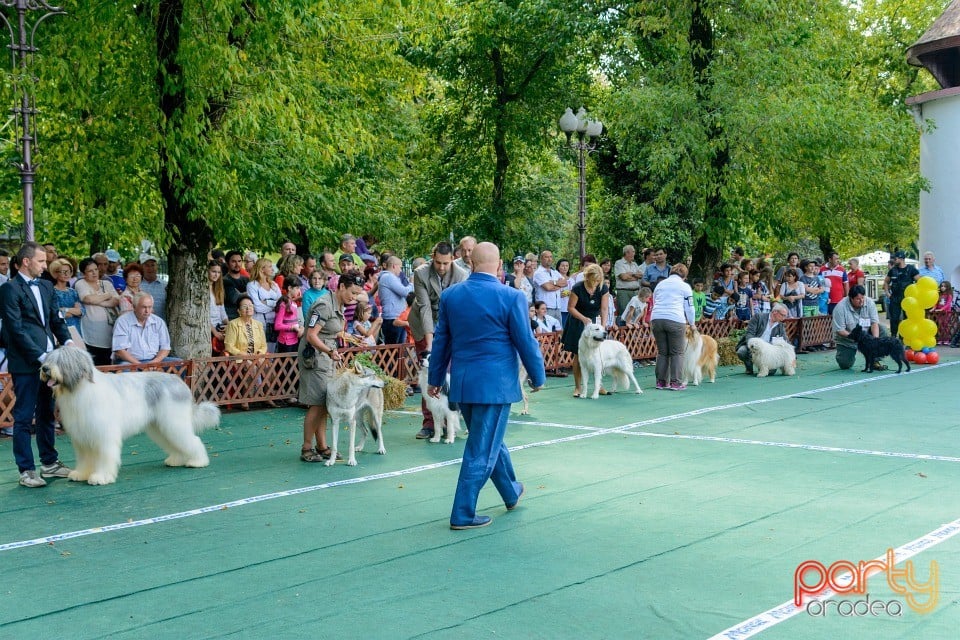 Expoziţie canină, Oradea