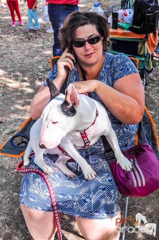 Expozitie canina, Oradea