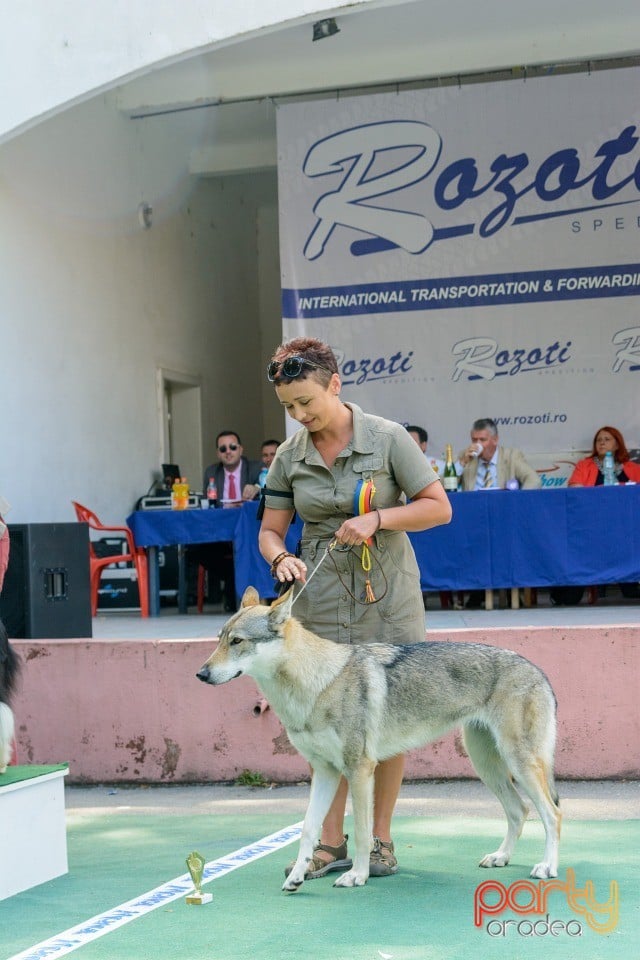 Expoziţie canină, Oradea