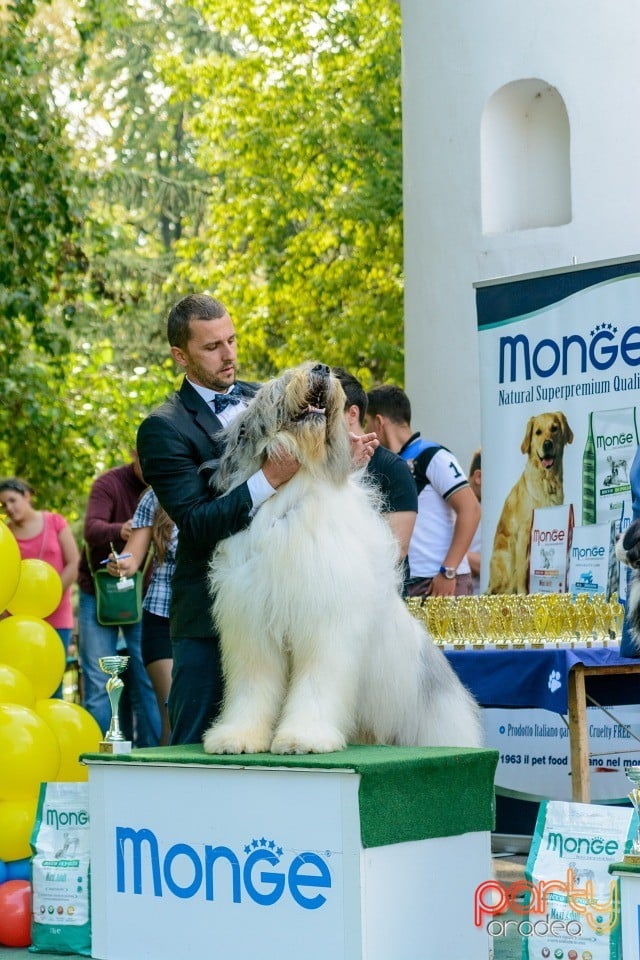 Expoziţie canină, Oradea