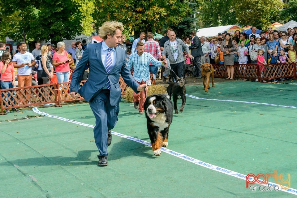 Expoziţie canină, Oradea